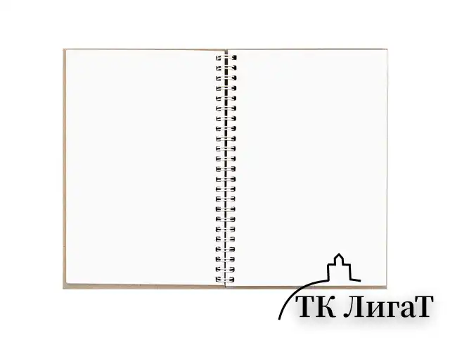Скетчбук, белая бумага, 160 г/м2, плотная, 15х21 см, 60 л., гребень, твердая обложка, КРАФТ, BRAUBERG ART CLASSIC, 116365