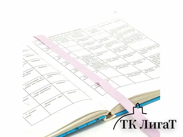 Закладки для книг САМОКЛЕЯЩИЕСЯ, КОМПЛЕКТ 6 шт., лавандовый, ДПС, 2921-131