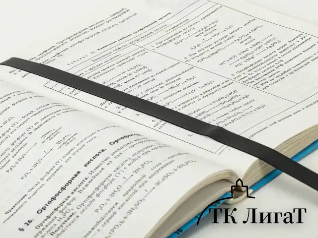 Закладки для книг САМОКЛЕЯЩИЕСЯ, КОМПЛЕКТ 6 шт., черный, ДПС, 2921-107
