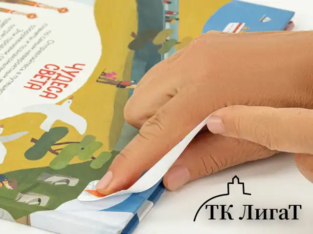 Закладки для книг с принтом САМОКЛЕЯЩИЕСЯ, КОМПЛЕКТ 6 шт., Скейт, ДПС, 2921.Р1/6
