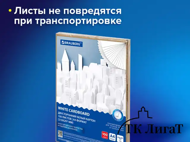 Картон белый А4 МЕЛОВАННЫЙ (белый оборот) 100 листов, в коробке, BRAUBERG, 210х297 мм, 116415