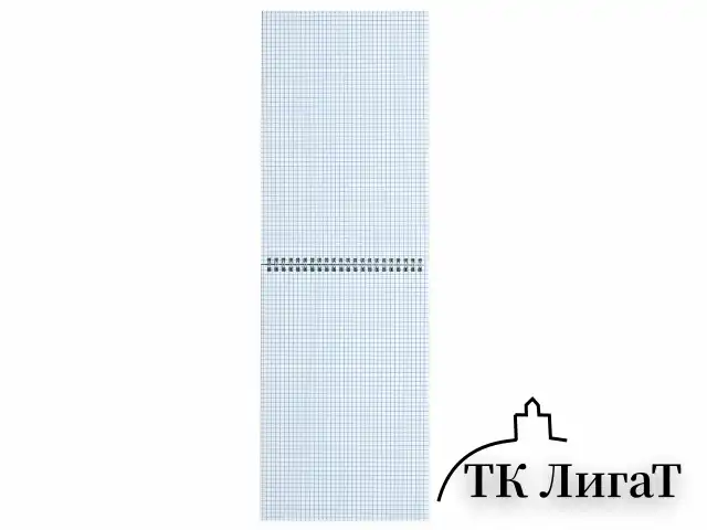 Блокнот БОЛЬШОЙ ФОРМАТ А4 198х297 мм, 80 л., гребень, подложка, клетка, BRAUBERG "Minimal Classic", 116424