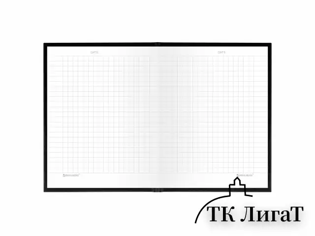 Блокнот МАЛЫЙ ФОРМАТ 110х147 мм, А6, 80 л., твердый, клетка, BRAUBERG "Minimal", черный, 116444