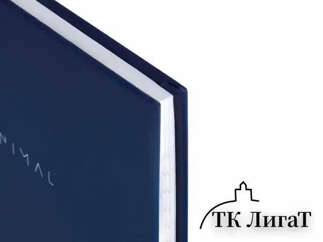 Блокнот МАЛЫЙ ФОРМАТ 110х147 мм, А6, 80 л., твердый, клетка, BRAUBERG "Minimal", синий, 116447
