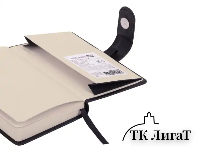 Скетчбук, слоновая кость 140 г/м2 90х140 мм, 80 л., КОЖЗАМ, застежка, BRAUBERG ART CLASSIC, черный,116458