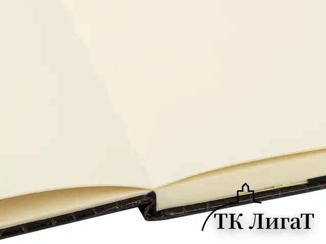 Скетчбук, слоновая кость 140 г/м2, 200х200 мм, 80 л., КОЖЗАМ, резинка, BRAUBERG ART CLASSIC, CROCO, коричневый, 116473
