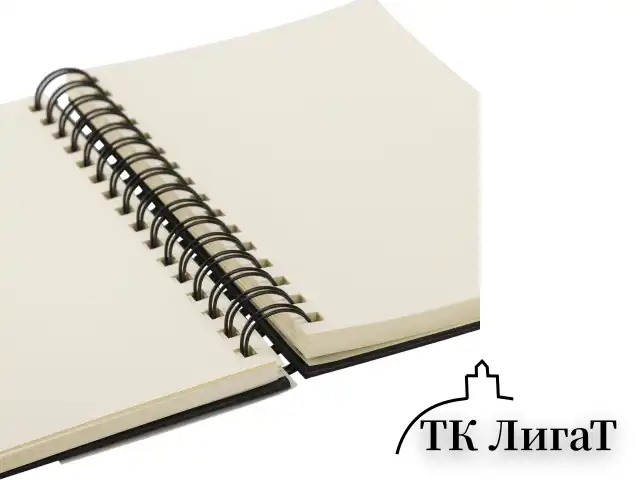 Скетчбук, слоновая кость 140 г/м2 130х210 мм, 80 л., КОЖЗАМ, гребень, BRAUBERG ART CLASSIC, черный, 116475