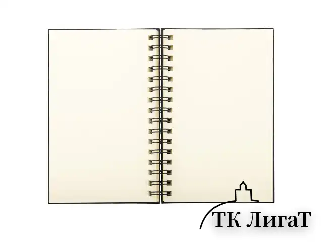 Скетчбук, слоновая кость 140 г/м2 130х210 мм, 80 л., КОЖЗАМ, гребень, BRAUBERG ART CLASSIC, черный, 116475