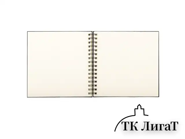 Скетчбук, слоновая кость 140 г/м2 200х200 мм, 80 л., КОЖЗАМ, гребень, BRAUBERG ART CLASSIC, черный, 116476