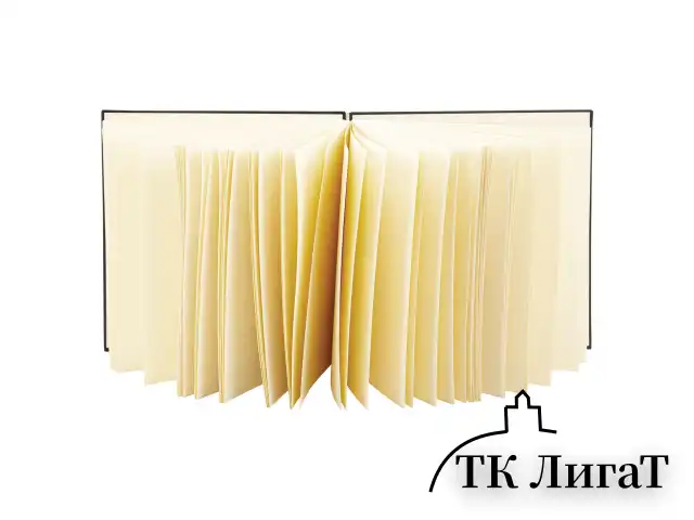 Скетчбук, слоновая кость 140 г/м2 200х200 мм, 80 л., КОЖЗАМ, гребень, BRAUBERG ART CLASSIC, черный, 116476