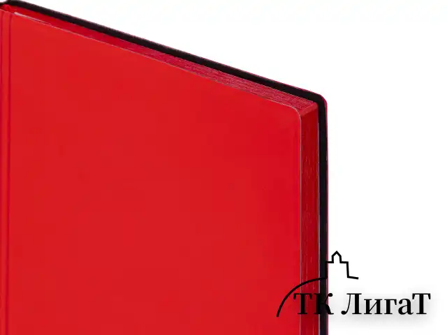 Блокнот А5 138x213 мм, BRAUBERG "Personal", под кожу, 80 листов, клетка, красный, 116609