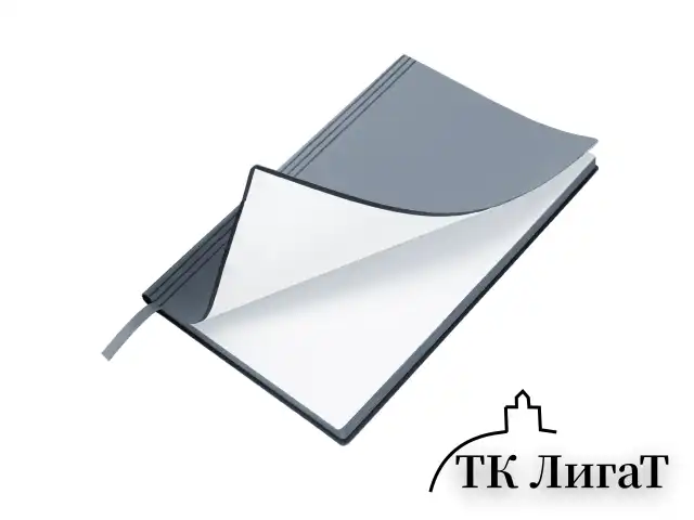 Блокнот А5 138x213 мм, BRAUBERG "Personal", под кожу, 80 листов, клетка, серый, 116612