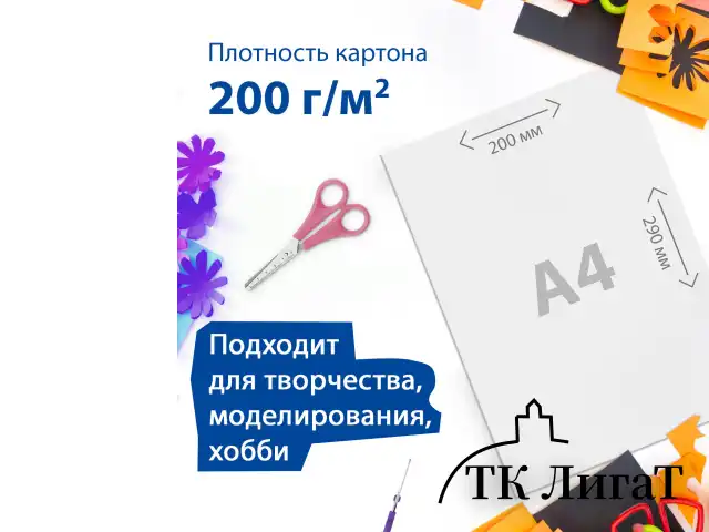 Картон белый А4 МЕЛОВАННЫЙ (белый оборот) 5 листов, BRAUBERG, 200х290 мм, 116626