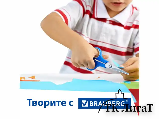 Картон белый А4 МЕЛОВАННЫЙ (белый оборот) 5 листов, BRAUBERG, 200х290 мм, 116626