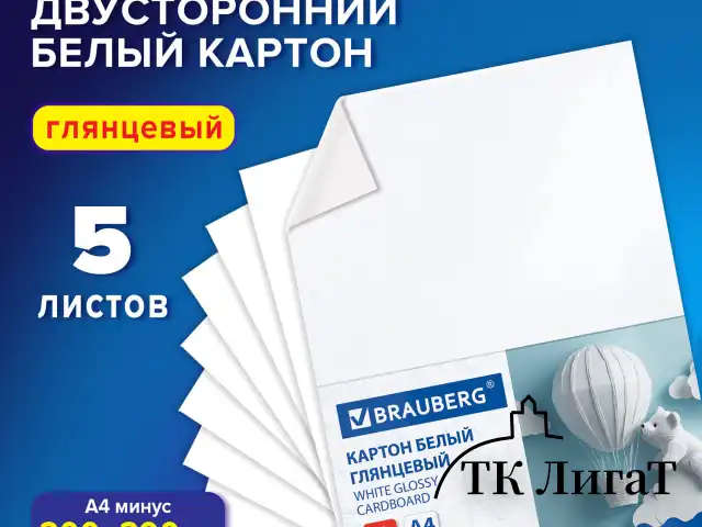 Картон белый А4 МЕЛОВАННЫЙ (белый оборот) 5 листов, BRAUBERG, 200х290 мм, 116626