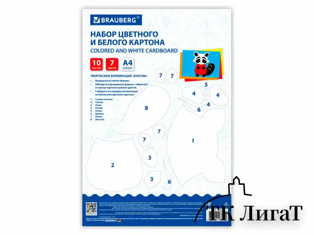 Набор картона БЕЛЫЙ + ЦВЕТНОЙ А4 немелованный, 10 листов (белый 4 листа + цветной 6 листов), в папке, BRAUBERG, 116631