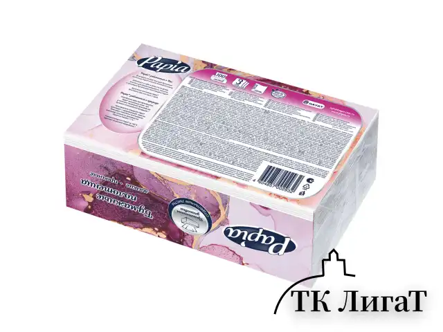 Полотенца бумажные (1 пачка – 100 листов) PAPIA (H3) UNIT PACK, 3-слойные, 23х20,5 см, V-сложение, 5090823