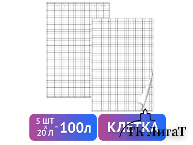 Блокноты для флипчарта ПЛОТНЫЕ 80 г/м2, BRAUBERG, 67,5х98 см, КОМПЛЕКТ 5 шт., 20 л., клетка, 124097