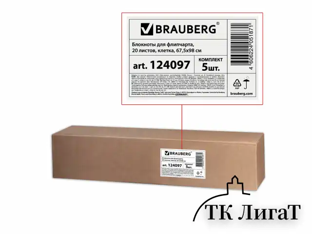 Блокноты для флипчарта ПЛОТНЫЕ 80 г/м2, BRAUBERG, 67,5х98 см, КОМПЛЕКТ 5 шт., 20 л., клетка, 124097