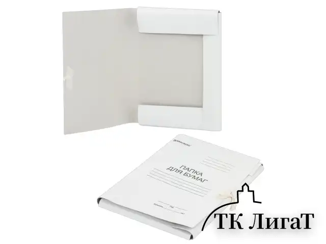 Папка для бумаг с завязками картонная BRAUBERG, гарантированная плотность 300 г/м2, до 200 листов, 124567