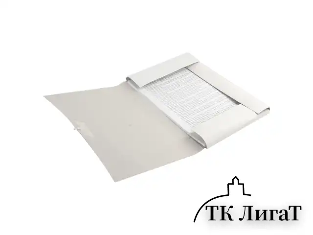 Папка для бумаг с завязками картонная BRAUBERG, гарантированная плотность 300 г/м2, до 200 листов, 124567