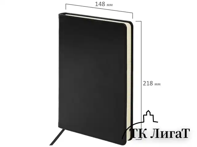 Блокнот А5 (148х218 мм), BRAUBERG "Income", 128 л., гладкий кожзаменитель, клетка, черный, 125208