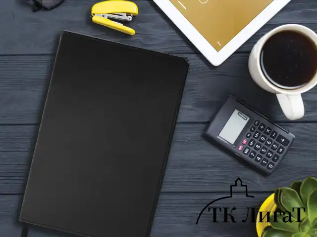 Блокнот А5 (148х218 мм), BRAUBERG "Income", 128 л., гладкий кожзаменитель, клетка, черный, 125208