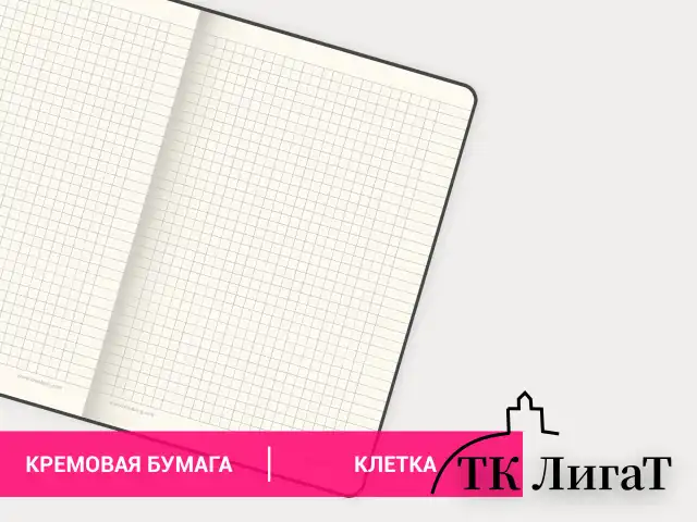 Блокнот А5 (148х218 мм), BRAUBERG "Income", 128 л., гладкий кожзаменитель, клетка, черный, 125208