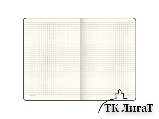 Блокнот А5 (148х218 мм), BRAUBERG "Income", 128 л., гладкий кожзаменитель, клетка, черный, 125208
