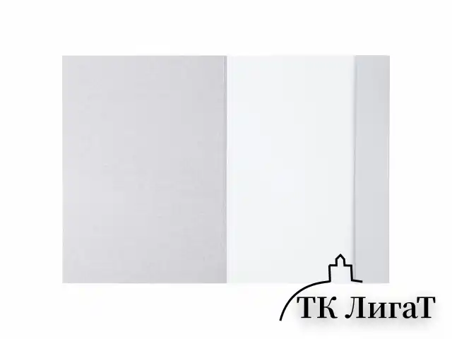 Папка для рисования А4, 20 л., 160 г/м2, BRAUBERG, 210х297 мм, "Орел", 125230