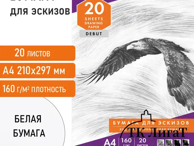 Папка для рисования А4, 20 л., 160 г/м2, BRAUBERG, 210х297 мм, "Орел", 125230