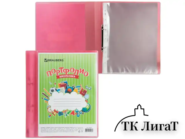 Папка для портфолио школьника, 2 кольца, 20 файлов, пластик полупрозрачный, красная, BRAUBERG, 126558