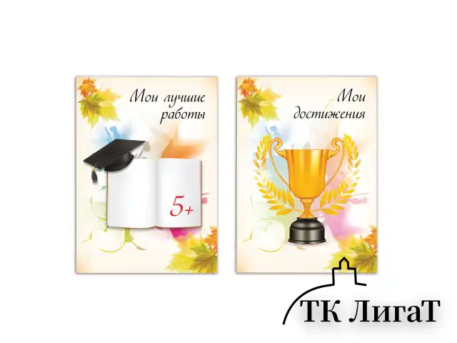 Листы-вкладыши для портфолио ШКОЛЬНИКА, 30 разделов, 32 листа, "Моё портфолио", BRAUBERG, 127550