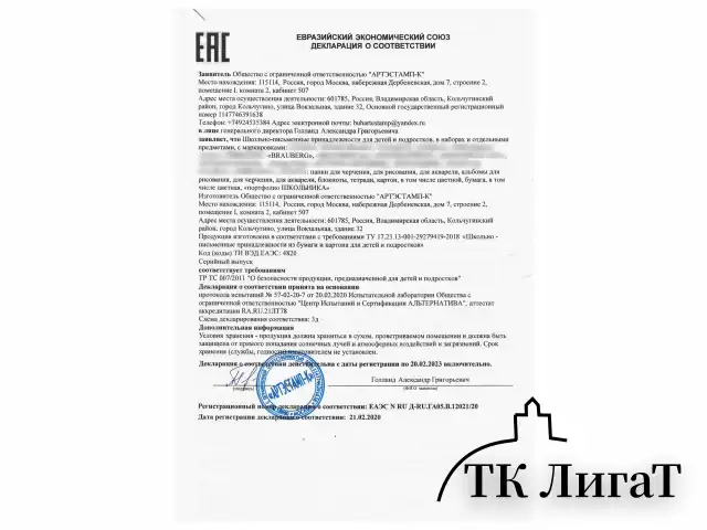 Листы-вкладыши для портфолио ШКОЛЬНИКА, 30 разделов, 32 листа, "Моё портфолио", BRAUBERG, 127550