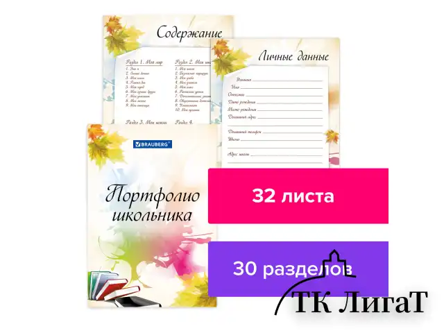 Листы-вкладыши для портфолио ШКОЛЬНИКА, 30 разделов, 32 листа, "Моё портфолио", BRAUBERG, 127550