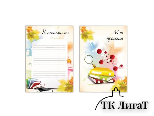Листы-вкладыши для портфолио ШКОЛЬНИКА, 30 разделов, 32 листа, "Моё портфолио", BRAUBERG, 127550