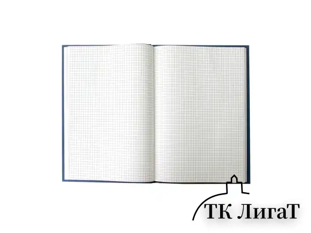 Книга учета 160 л., клетка, твердая, бумвинил, блок офсет, А4 200х290 мм, BRAUBERG, 130182