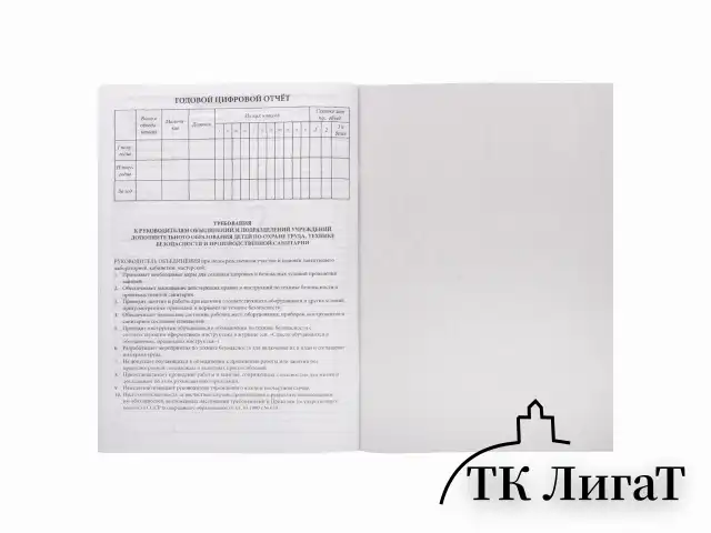 Журнал учёта работы педагога дополнительного образования, 48 л., картон, офсет, А4 200х280 мм, STAFF, 130243