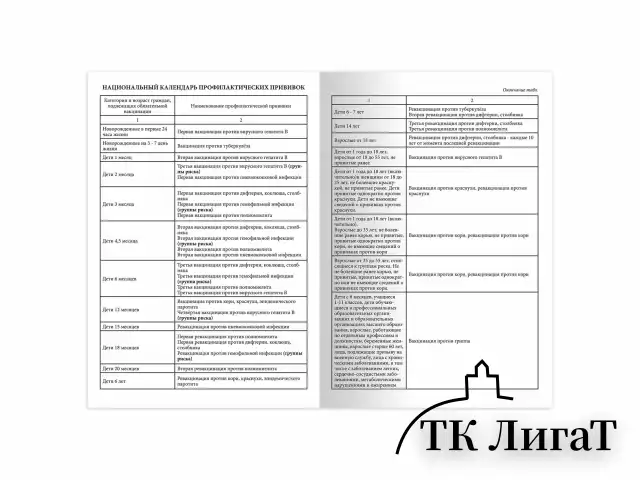 Сертификат о профилактических прививках (Форма № 156/у-93), 6 л., А5 (140x200 мм), STAFF, 130252