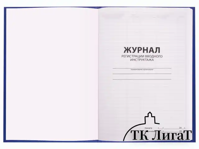 Журнал регистрации вводного инструктажа, 96 л., А4 200х290 мм, бумвинил, офсет BRAUBERG, 130258