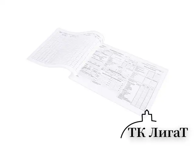 Бланк, офсет, "Путевой лист автобуса", А4 (198х275 мм), СПАЙКА 100 шт., STAFF, 130271
