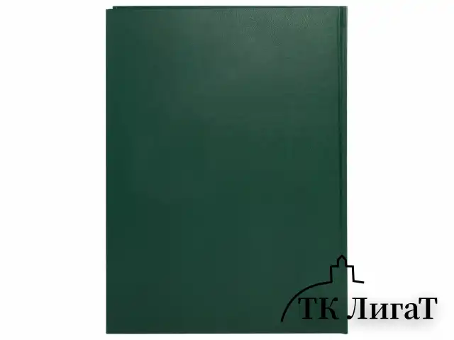 Книга учета 96 л., клетка, твердая, бумвинил, офсет, герб, А4 (200х290 мм), BRAUBERG, зеленая, 130277