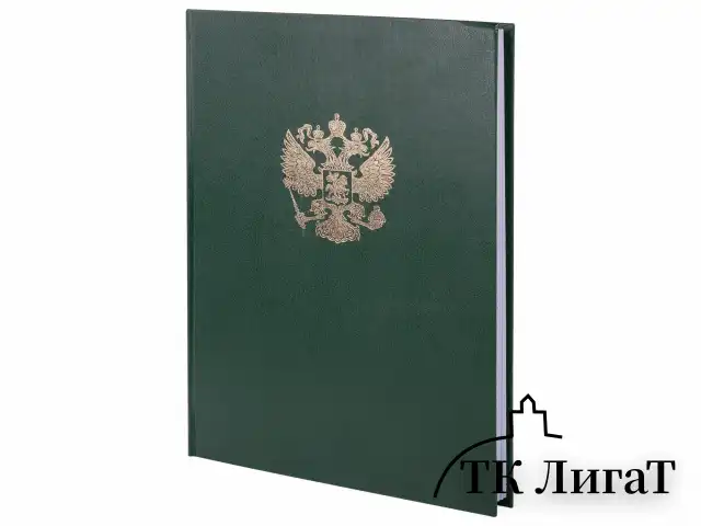 Книга учета 96 л., клетка, твердая, бумвинил, офсет, герб, А4 (200х290 мм), BRAUBERG, зеленая, 130277