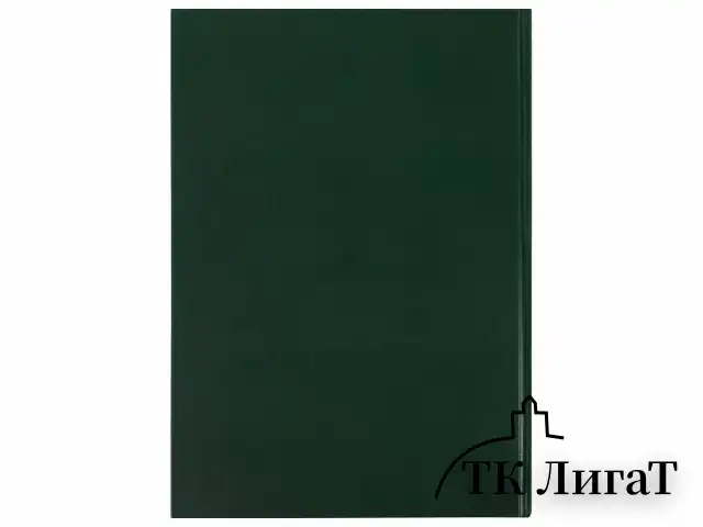 Книга учета 96 л., клетка, твердая, бумвинил, офсет, наклейка, А4 (200х290 мм), BRAUBERG, зеленая, 130280