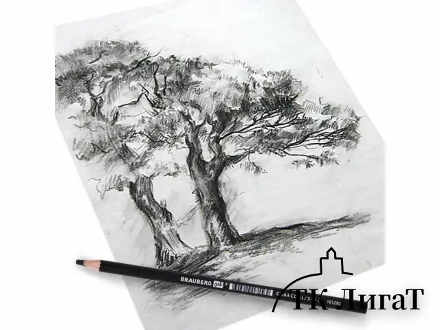 Карандаш (1 штука) угольный BRAUBERG ART CLASSIC, МЯГКИЙ, круглый, корпус черный, заточенный, 181290