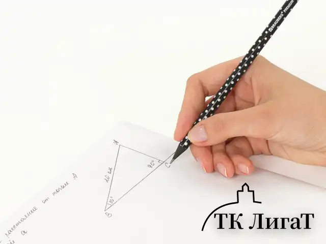 Карандаш чернографитный BRAUBERG "PREMIUM TURKEY", 1 шт., "Dots", НВ, ассорти, дисплей, 181563