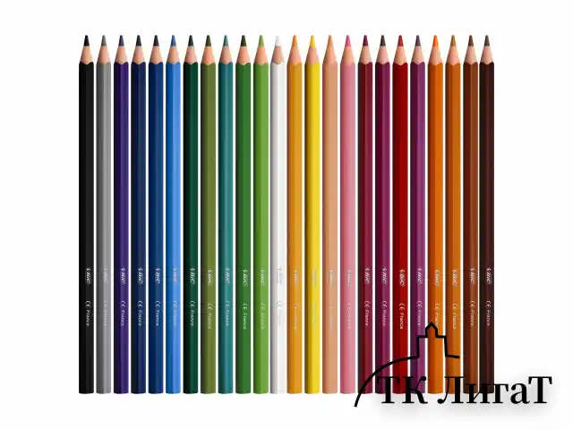 Карандаши цветные BIC "Intensity", 12 цветов, трехгранные, 9505272