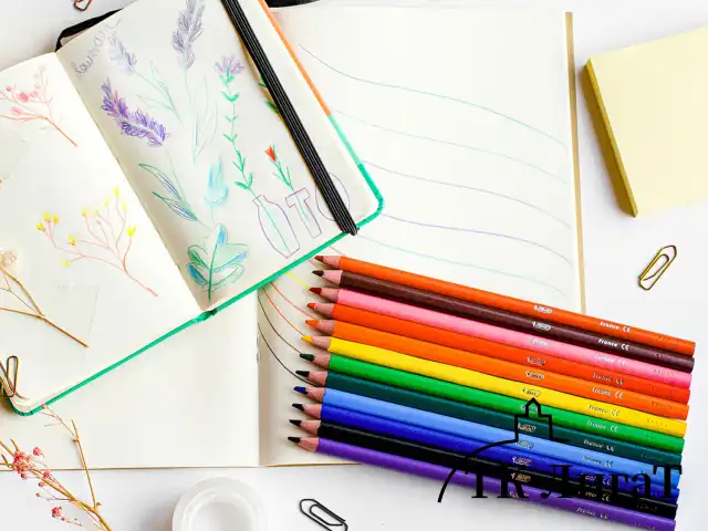 Карандаши цветные BIC "Intensity", 12 цветов, трехгранные, 9505272