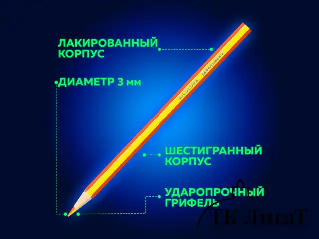 Карандаши с двухцветным грифелем BRAUBERG BICOLOUR, 12 штук, 24 цвета, шестигранные, грифель 3 мм, натуральное дерево, 181855