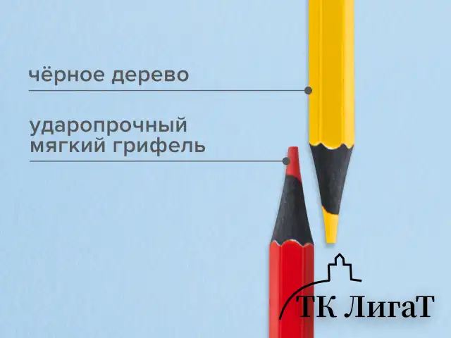 Карандаши цветные BRAUBERG, 24 цвета, шестигранные, грифель 3,3 мм, черное дерево, 181858